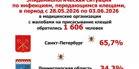 За неделю в Петербурге и Ленобласти клещи покусали 1606 человек - 47Channel.Ru