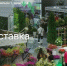 О проведении выставки цветов, растений, техники и технологий в цветоводстве и ландшафтном дизайне «ЦветыЭкспо-2026» - Минсельхоз Воронежской области