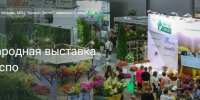 О проведении выставки цветов, растений, техники и технологий в цветоводстве и ландшафтном дизайне «ЦветыЭкспо-2026» - Минсельхоз Воронежской области