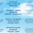 Афиша "Лето во дворах" на июнь - Межпоселенческая районная библиотека