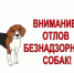Уважаемые жители Вейделевского муниципального округа!. - Вейделевский район