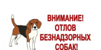 Уважаемые жители Вейделевского муниципального округа!. - Вейделевский район