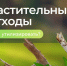 🌱 Как утилизировать траву и ветки, чтобы не получить штраф?. - Грайворонский муниципальный округ