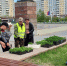 Братск надевает летний наряд: в городе высаживают 215 тысяч цветов (ВИДЕО, ФОТО) - Администрация г. Братск