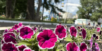 5 июня местами по Республике Мордовия ожидается гроза - Администрация города Саранск