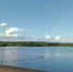 Вода на пляже ГПЗ-24 в Пензе непригодна для купания - SMI58.Ru