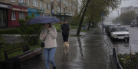 Сильные дожди накроют Нижегородскую область: МЧС выпустило срочное предупреждение - ProDzer.Ru