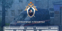 Несовершеннолетний житель Клетнянского района Брянской области осужден за распространение порнографических материалов - Следственный комитет