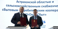 Астраханская область и кооператив «ЮгОвощСбыт» подписали соглашение о создании агроагрегатора на ПМЭФ-2026 - Газета Волга