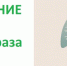 Коронавирус не отступил, но стал легче: ситуация в донском регионе - Газета Рассвет