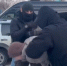 Самарец получил 16 лет колонии после связи с украинским медиапропагандистом - TLT.Ru