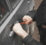 background - Cher-Poisk.Ru