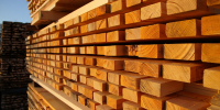 Из Кировской области в Узбекистан отправили 52 тыс. кубометров пиломатериалов - Newsler.Ru