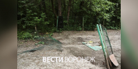Неизвестные разгромили площадку для выгула собак в воронежском парке «Оптимистов» - ГТРК Воронеж