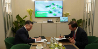 - Cеть 4G построят в удалённых и туристических локациях Поморья:  Мегафон - Газета Грани