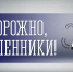 Мурманский оперативный штаб информирует - Город Мурманск