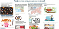 Уважаемые ельчане! Всегда помните о профилактике острых кишечных инфекций, в том числе холеры - Администрация г. Елец
