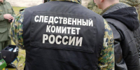 На Кубани возбуждено уголовное дело об избиении девочки группой подростков - Югополис