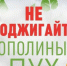 Не поджигайте тополиный пух! - Городищенский район