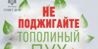 Не поджигайте тополиный пух! - Городищенский район