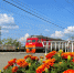 photo_2026-06-04_16-58-38 - Revda-Info.Ru