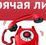 О проведении тематической «горячей линии». - Волоконовский муниципальный округ