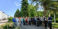 «Дети — цветы жизни»: в Великих Луках прошла акция по посадке цветов - Luki.Ru
