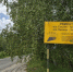 20260602_114641 - Управление дорог
