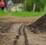 Сыплю отруби в лунку - и арбузы вырастают по 11 кг: сахарные, звенящие и трескучие - IrkutskMedia.Ru