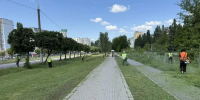 «Зеленхоз» заботится о красоте городских пространств - Город Липецк