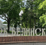 В парке Белинского реализуют очередной этап благоустройства||Фото: vk.com/belinskiypark - Пензенская Правда
