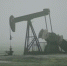 ОПЕК не ждет пика спроса на нефть в ближайшее время - Neva.Today