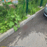 Попавший под машину в Москве ребенок скончался в больнице - M24.Ru