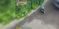 Попавший под машину в Москве ребенок скончался в больнице - M24.Ru
