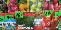 Фото здесь и далее: пресс-служба Северо-Западного межрегионального управления Россельхознадзора - InformPskov.Ru