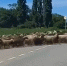 Фото: скрин с видео администрации Крымского района - ТК Краснодар
