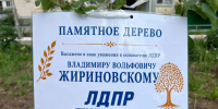 img - ЛДПР