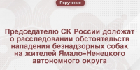Александр Бастрыкин взял на контроль расследовании уголовного дела о нападении собак на жителей Ноябрьска - Комсомольская Правда