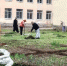 Боровичские студенты помогли в благоустройстве территории у Адаптивной школы № 1 - 53news.Ru
