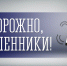 Мурманский оперативный штаб информирует - Murman.Ru