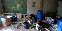 В Рязани при силовой поддержке спецназа Управления Росгвардии сотрудники наркоконтроля задержали двоих жителей поселка Кадом, организовавших домашнее производство марихуаны - Росгвардия