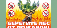 Берегите лес от пожара - Сетевое издание Киришский факел