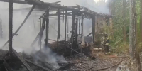 Видео: Огонь испепелил "заброшку" во Всеволожске - 47 новостей