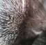 9wuaaen9f4ca3hq2z8v2xc2flz96ytre - Novosti-Saratova.Ru