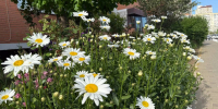 Фото: телеканал «Краснодар» - ТК Краснодар