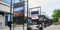 Председатель ОИАК принял участие в открытии фотовыставки фестиваля «Золотая черепаха» - Общество изучения Амурского края