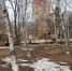Сквер по ул. Волочаевской — ул. Блюхера Сайт голосования - AmurMedia.Ru