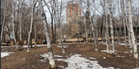 Сквер по ул. Волочаевской — ул. Блюхера Сайт голосования - AmurMedia.Ru