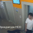 В Новосибирске задержали мужчину, натравившего пса на прохожего на улице Виктора Уса - Сиб.фм