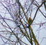 3-AaW4U1OarYYa5WjggXx54_mP3e1qEQuySe55oiHHdH7SlQrJ4mSHlo19lrAWZqLWVH.jpg - Ozersk74.Ru